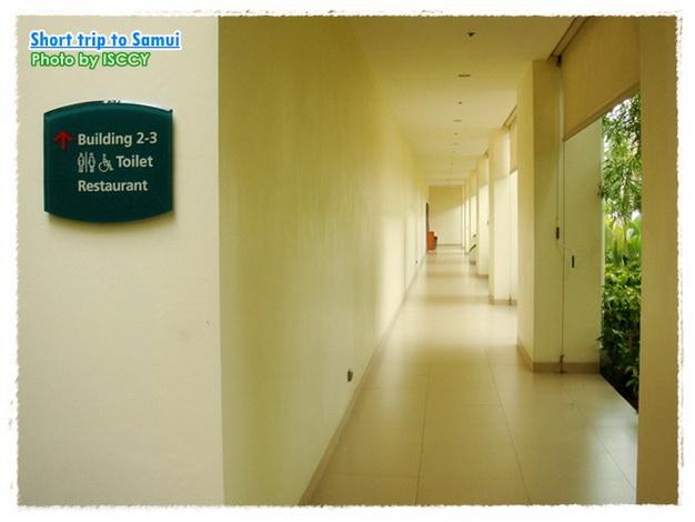 NST_USM26.jpg